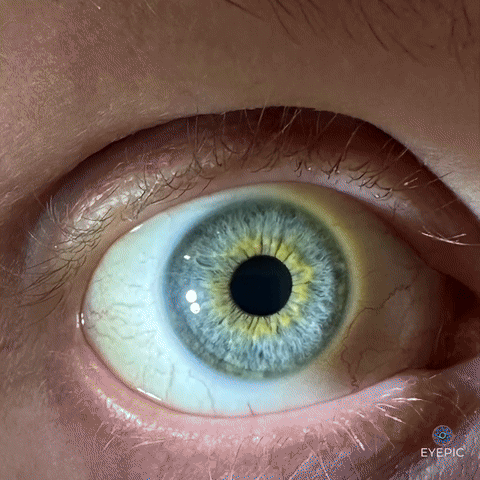 Eye Animation