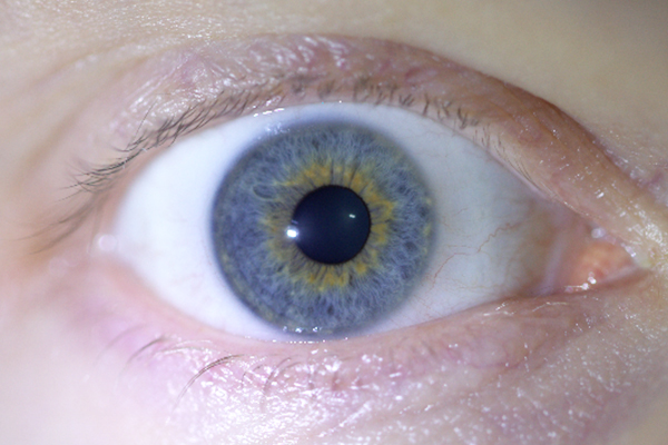 Raw eye photo input