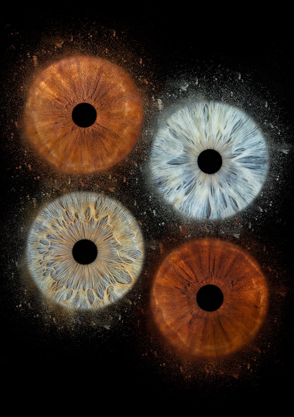 4 Eyes Dust Template