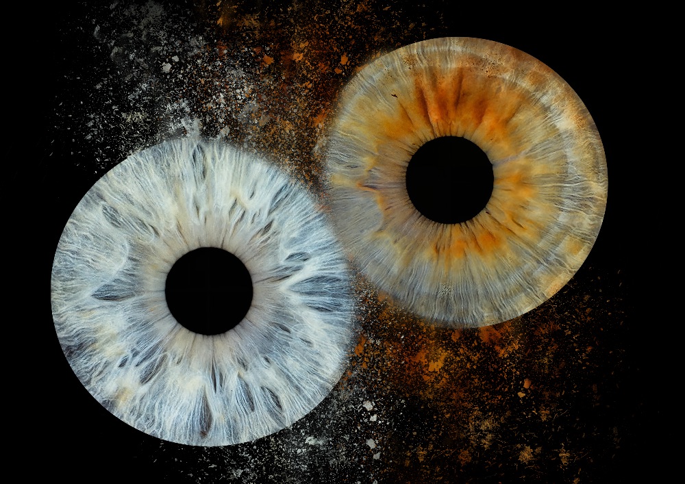 Big Collide Template