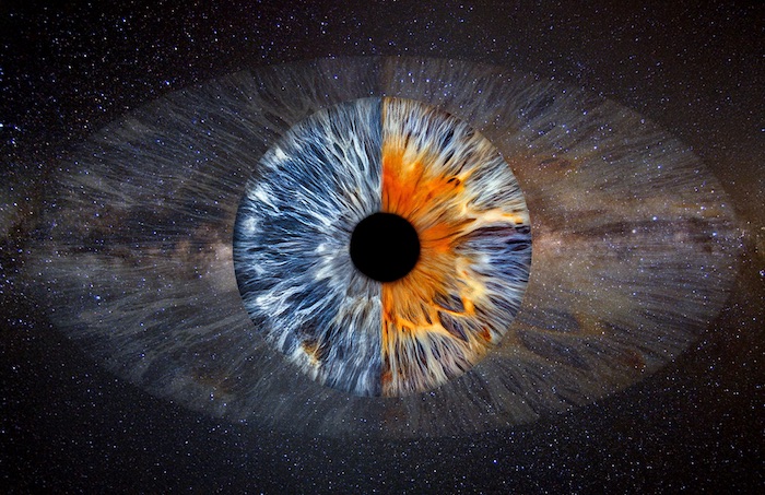 Half and Half Template