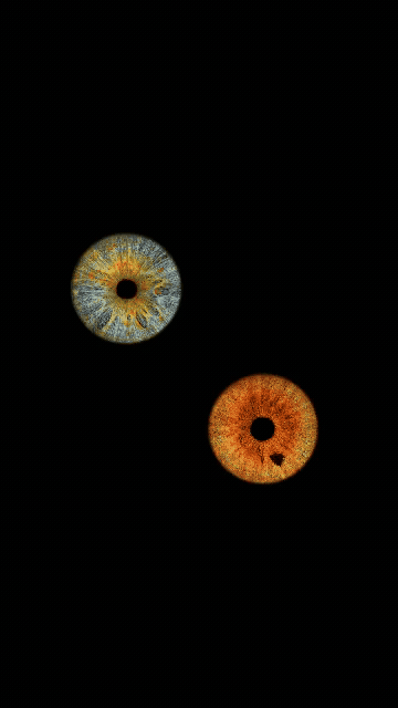 Animated heart iris video template