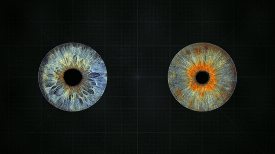 Animated plasma iris video template